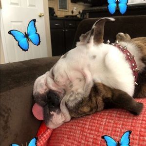 Meet your Posher, Renee